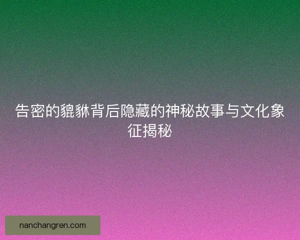 告密的貔貅背后隐藏的神秘故事与文化象征揭秘